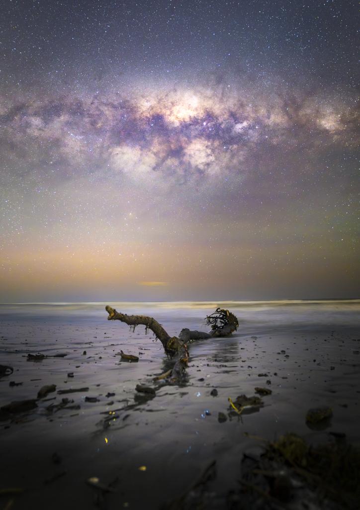 Raumati South